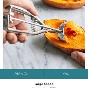 Stainless Steel Food Scoop